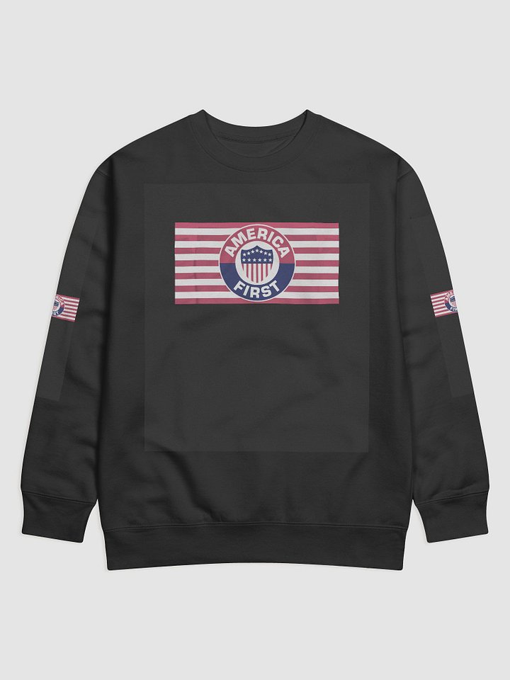 America First Sweater product image (5)
