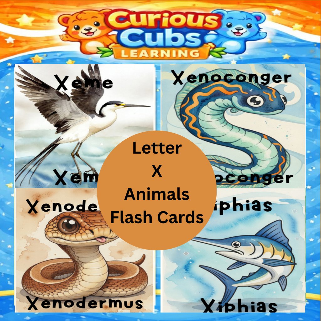 Letter X Animal Flash Cards – Fun & Engaging Alphabet Learning product image (1)