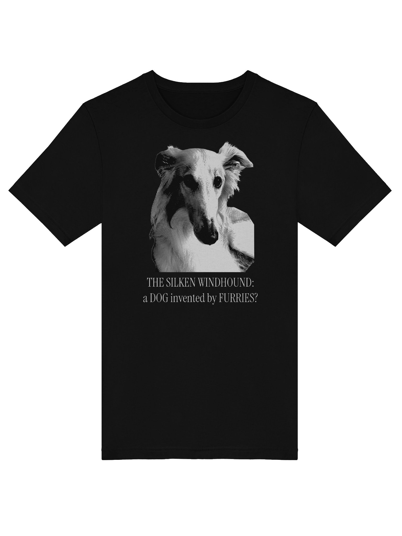 Controversial Origins - T-Shirt product image (4)