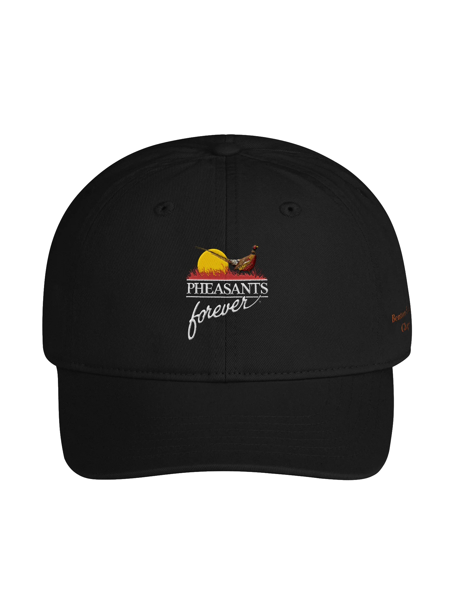 Benton Franklin PF Dad Cap product image (1)