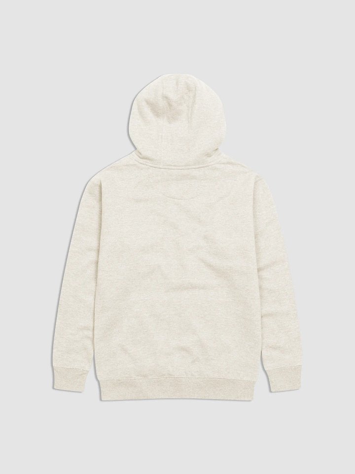 Ricos na América Vintage Hoody product image (2)