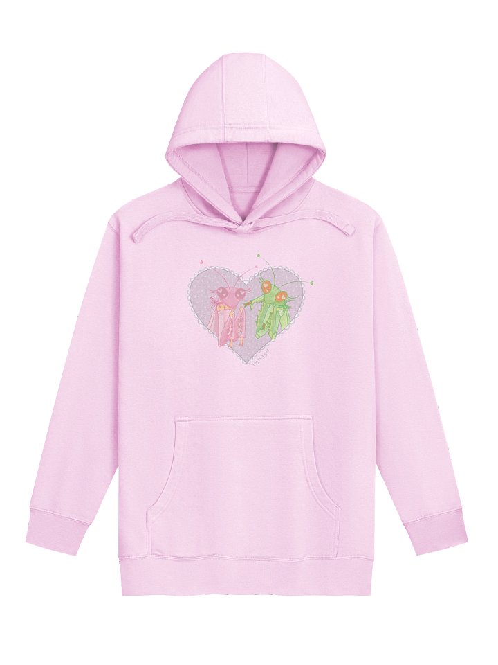 lou heavyweight hoodie product image (1)