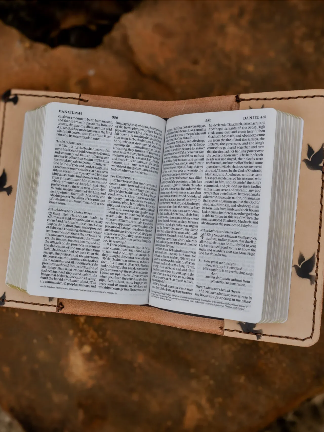 Doves Bible product image (3)
