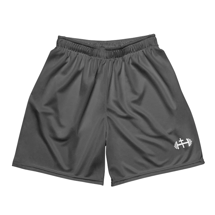 His House Mens Performance Mesh Shorts - Grey product image (2)