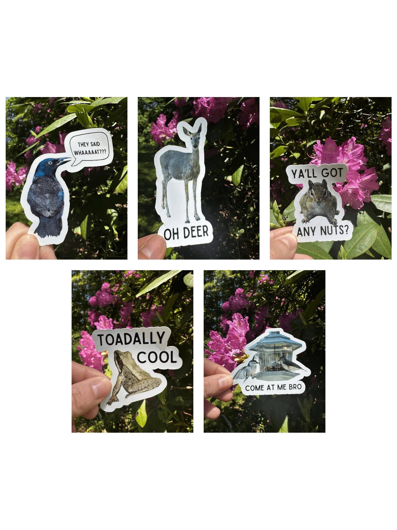 Funny Stickers Bundle Offer product image (1)