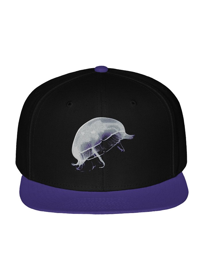"Royal Drift" Snapback Cap product image (4)