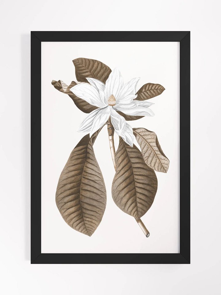 Magnolia Grandiflora #4 Framed Print product image (1)