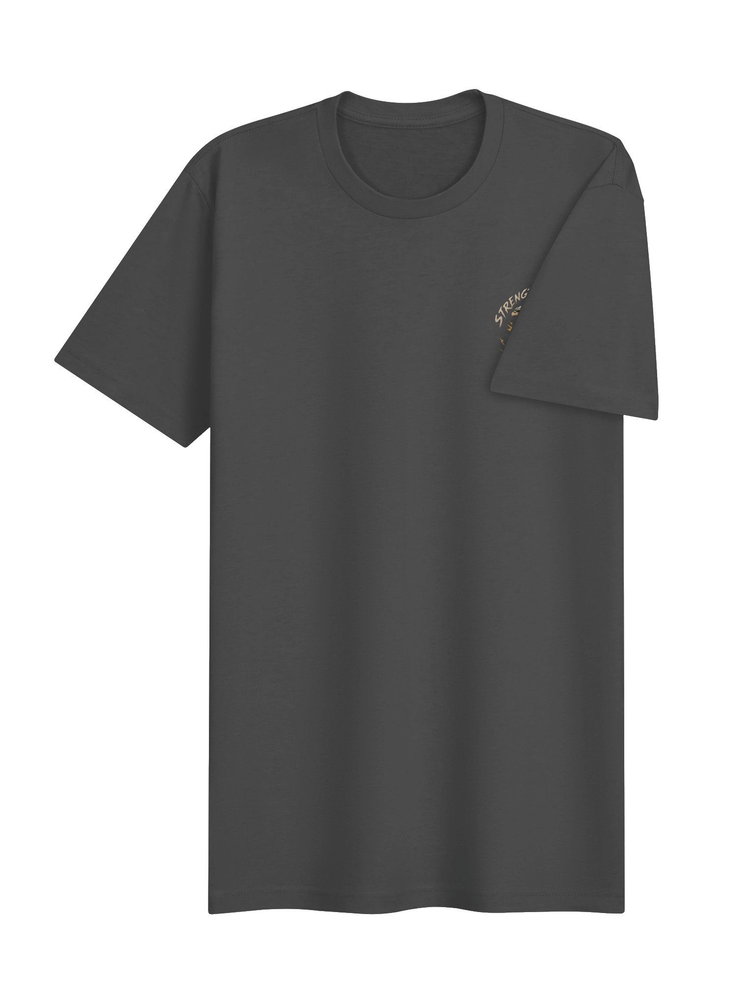 Strength Is Earned - Active Tee product image (10)