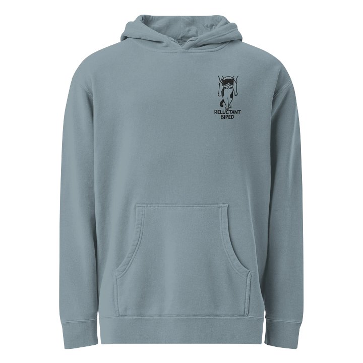 Reluctant Biped Hoodie product image (1)