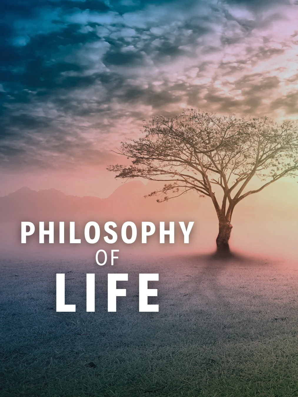 Philosophy of Life product image (1)