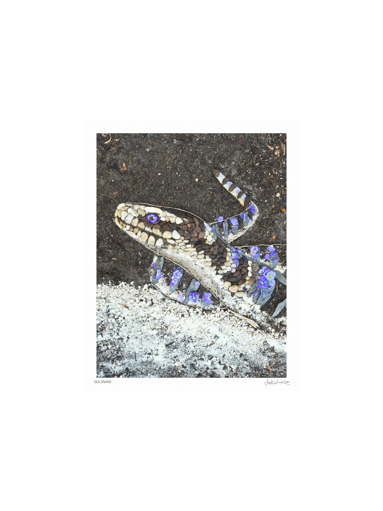 SEA SNAKE | Nature Art Print product image (2)