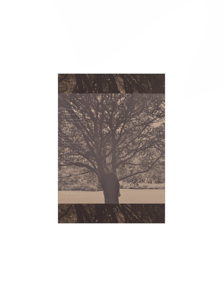 A Poison Tree poster product image (2)