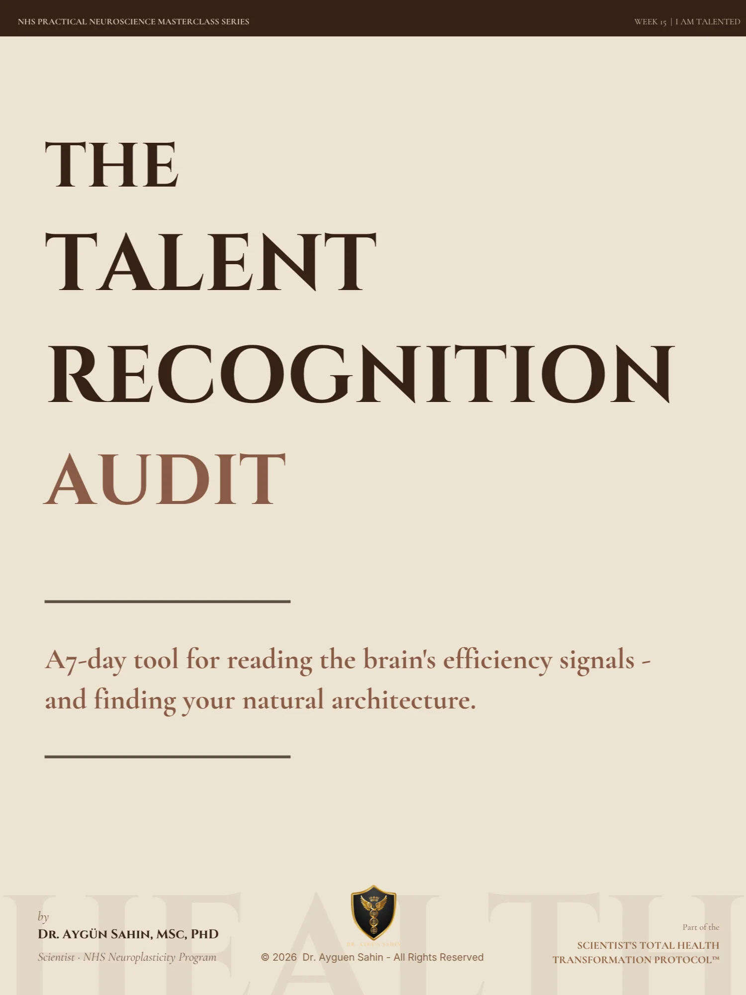 TALENT RECOGNITION AUDIT product image (2)