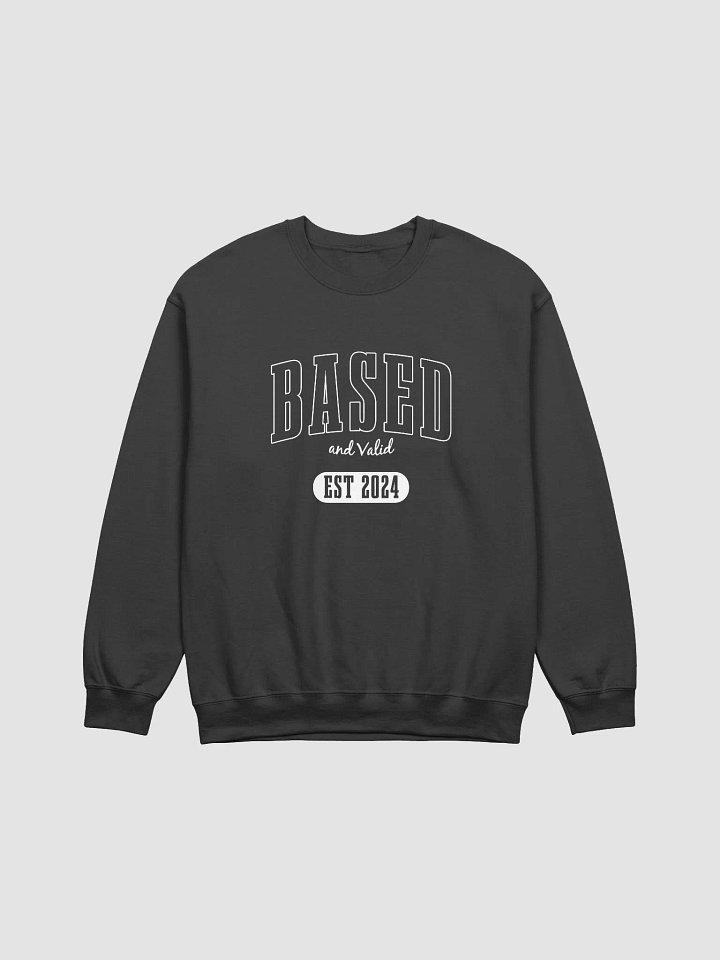Based and Valid Sweater - Black product image (1)