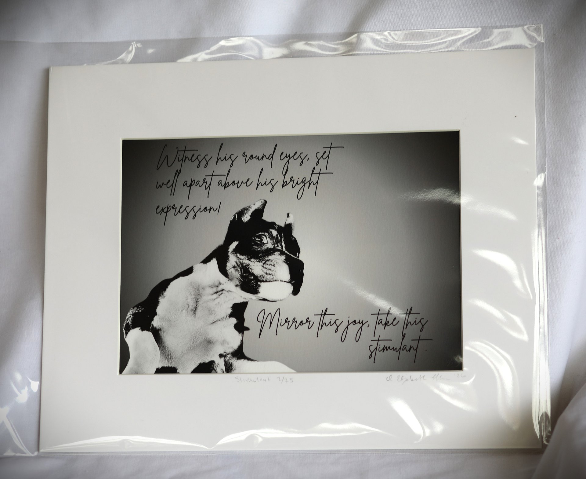 Limited Edition Puppy Giclée Print – Signed American Pit Bull Terrier Art product image (2)