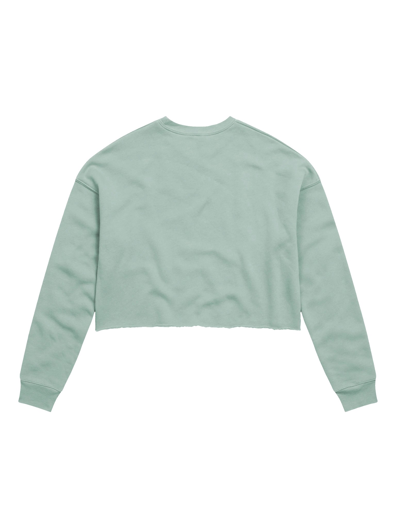 Ring World - Bella+Canvas Women's Fleece Crop Sweatshirt product image (27)