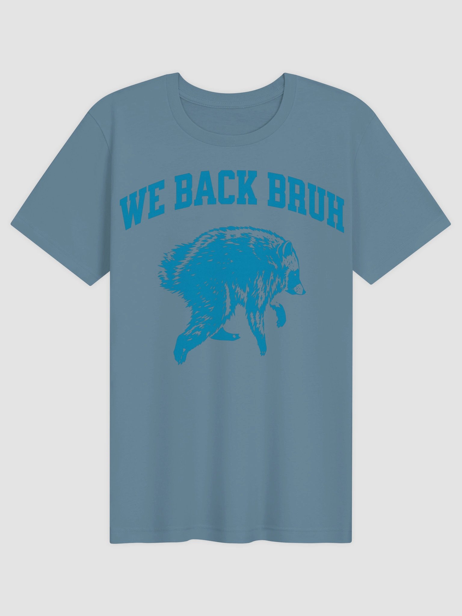 We Back Bruh Raccoon Meme Funny Back To School Trash Panda T-Shirt product image (2)