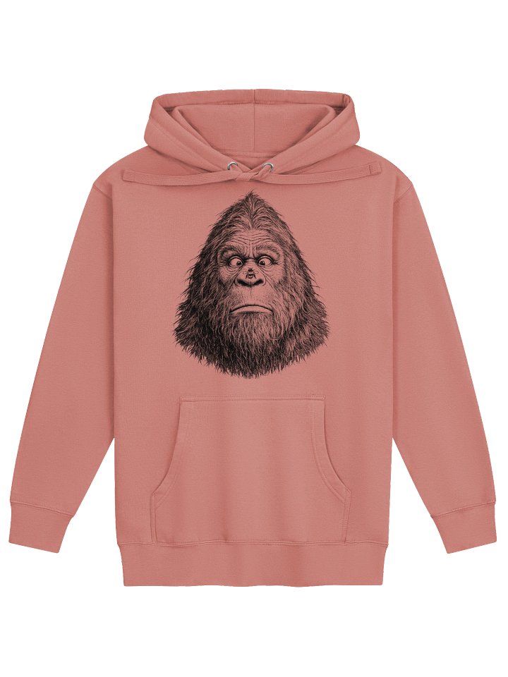 Bigfoot Bumbled Hoodie product image (13)