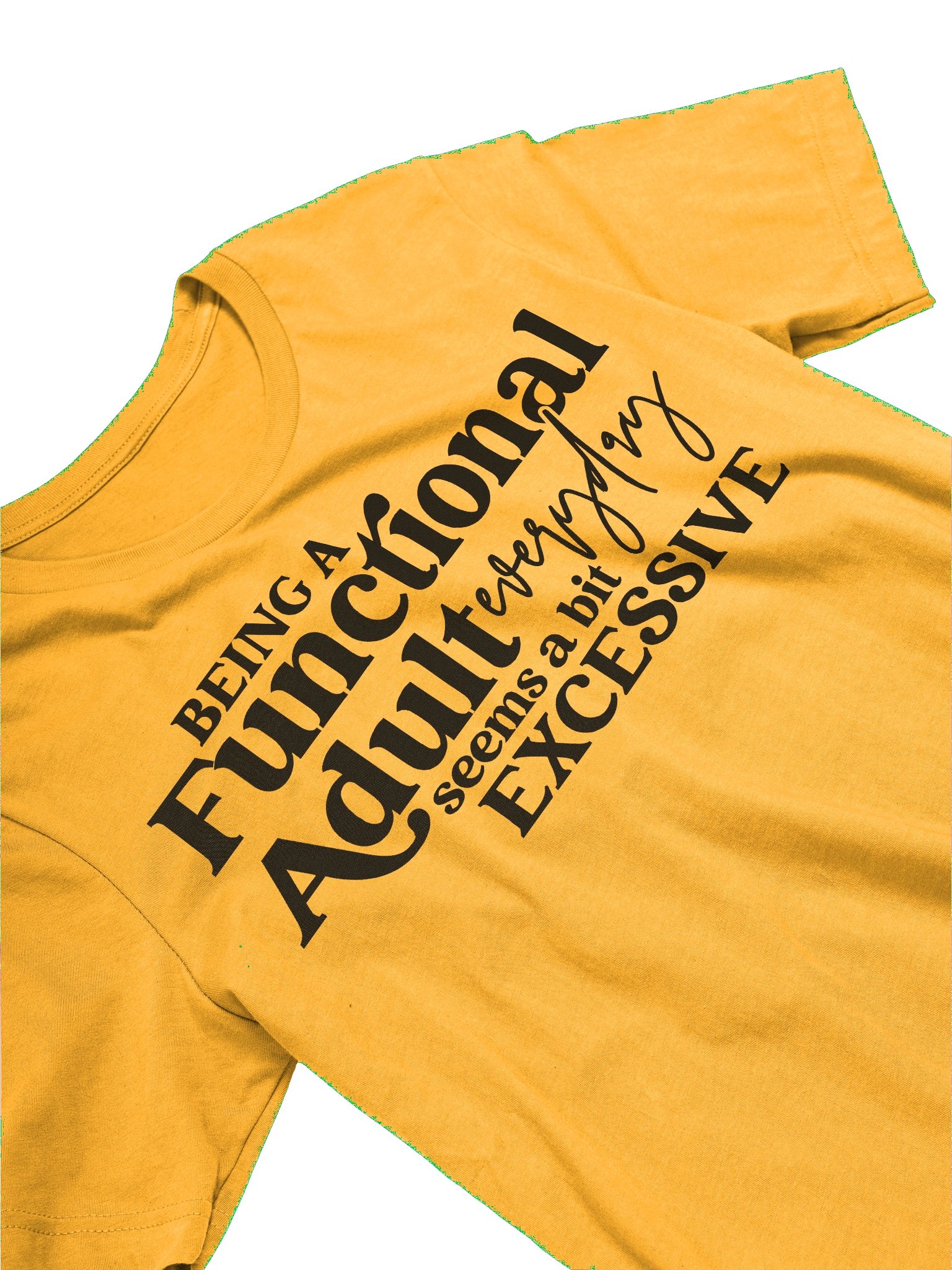 Being A Functional Adult product image (22)