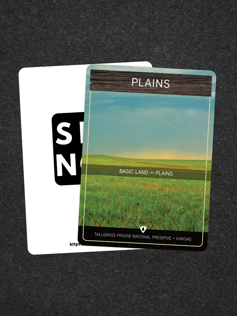 National Park & Forest Basic Land Proxies - Plains (5 Pack) product image (1)