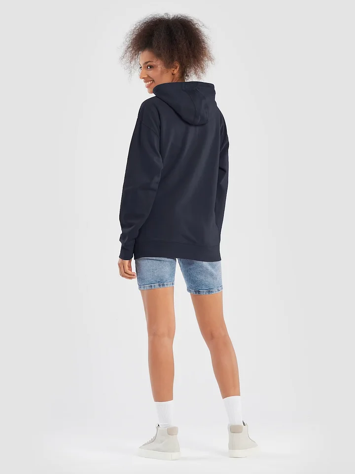 FRAME EMBROIDERED HOODIE product image (2)