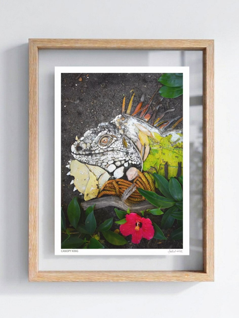 CANOPY KING | Fine Art Print product image (1)