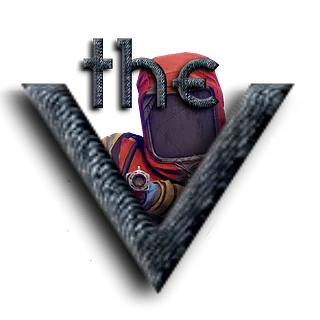 The VidZid