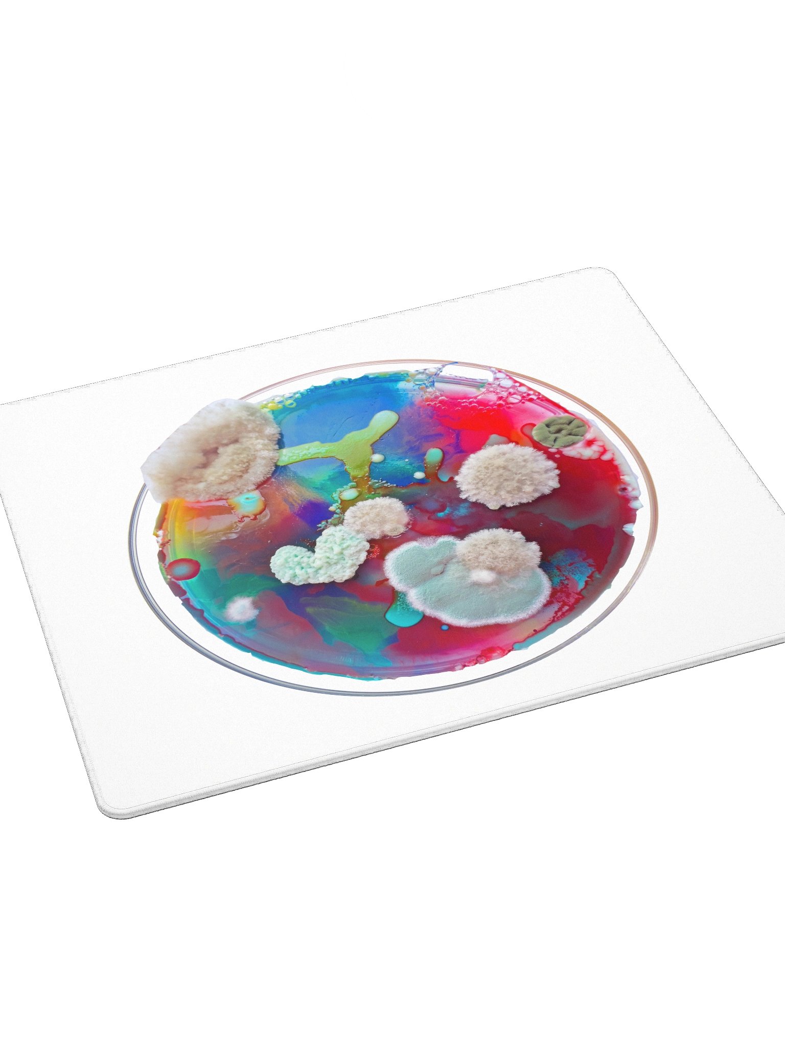 Gaming dish product image (4)