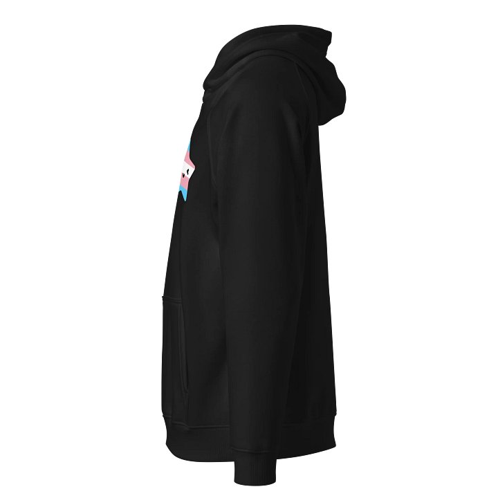 Lucy Trans Pride Hoodie product image (2)