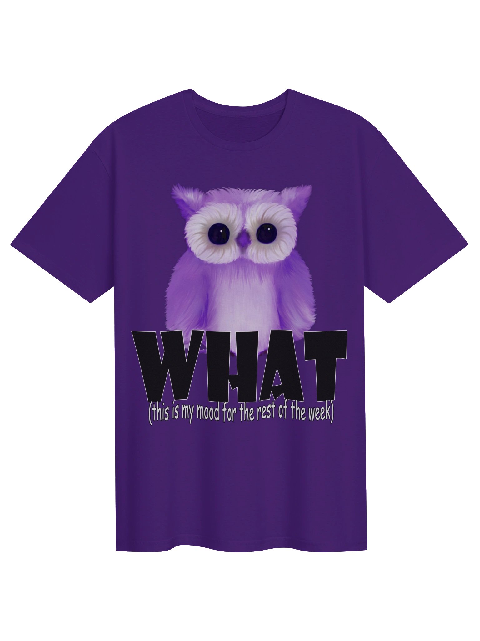 Owl "WHAT" T-Shirt. Unisex Gildan Softstyle T-Shirt product image (1)