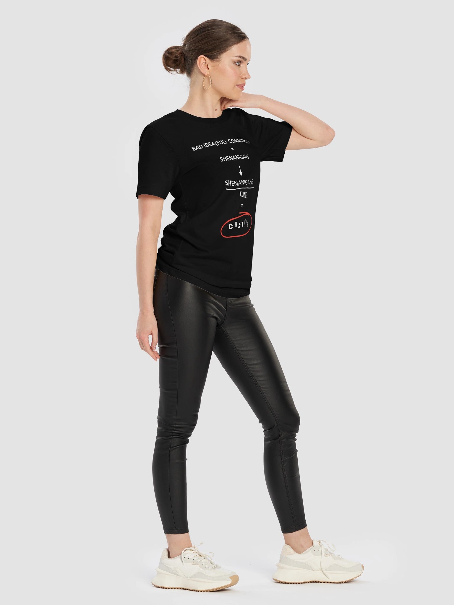 006 - THE SHENANIGAN EQUATION product image (6)