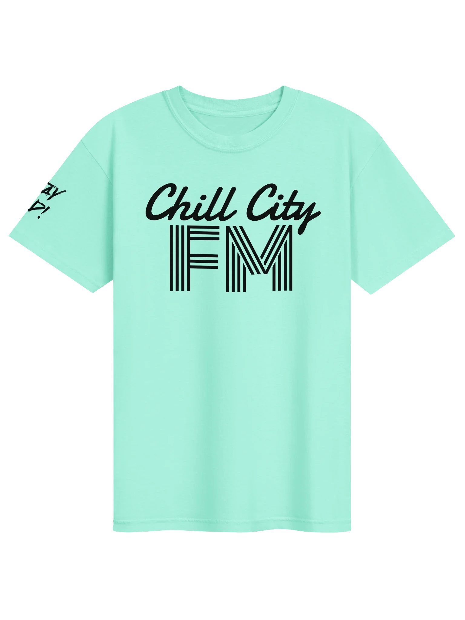 Chill City FM Basic T product image (1)