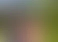 Wild Guitar's tag thumbnail