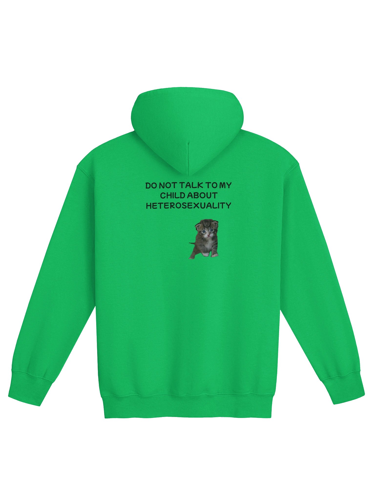 Do Not Talk To My Child About Heterosexuality Cat Zip Hoodie product image (25)