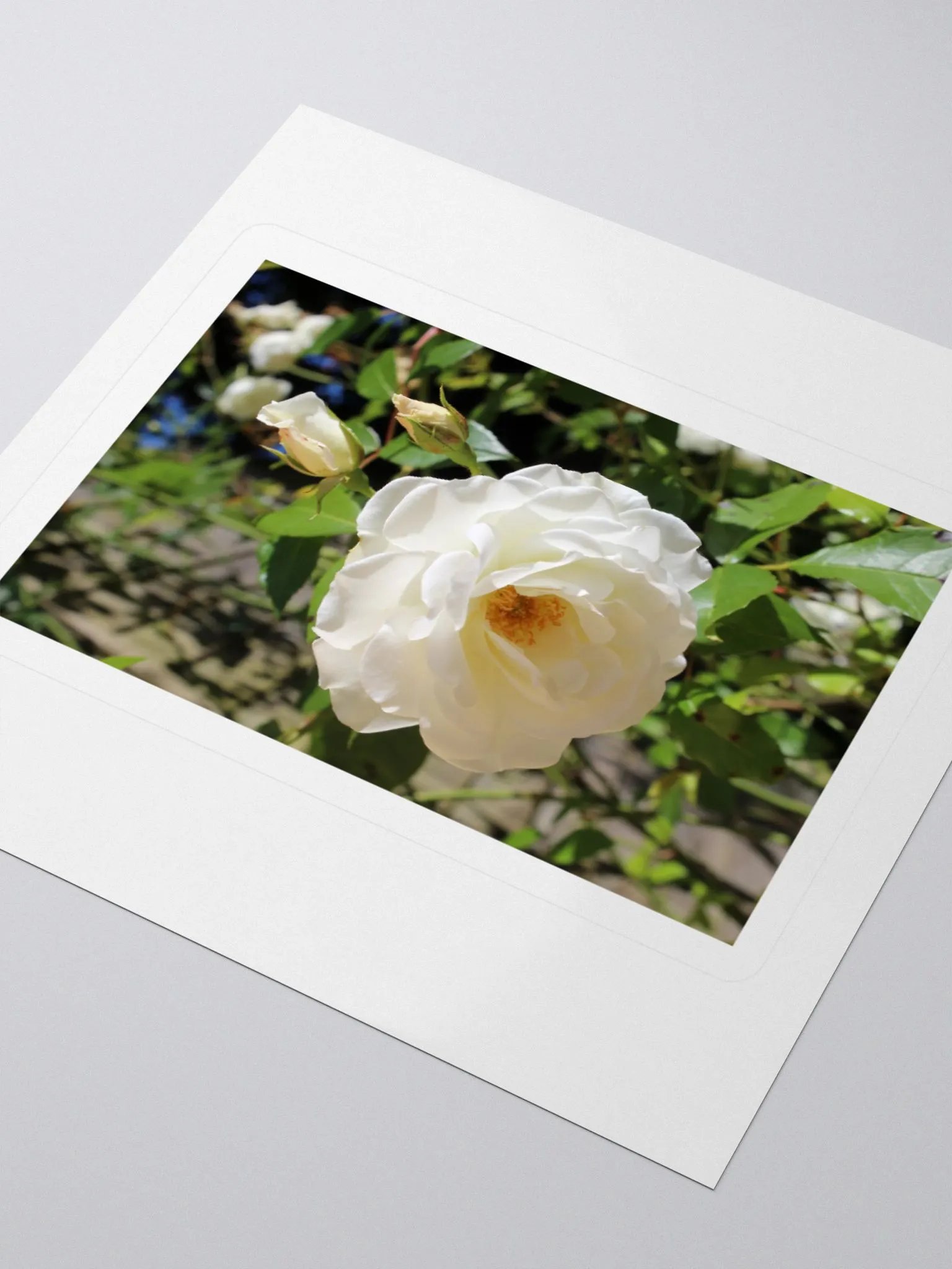 Bloom & Blossom Sticker Set product image (12)