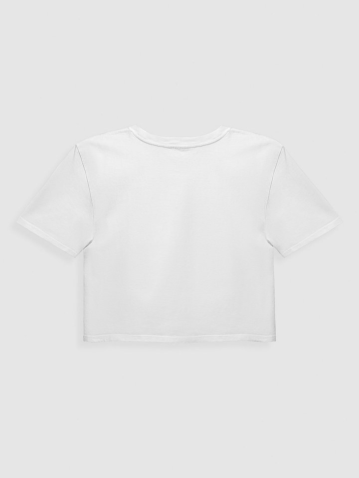 Stars, Stripes & Equal Rights Cropped Tee product image (2)