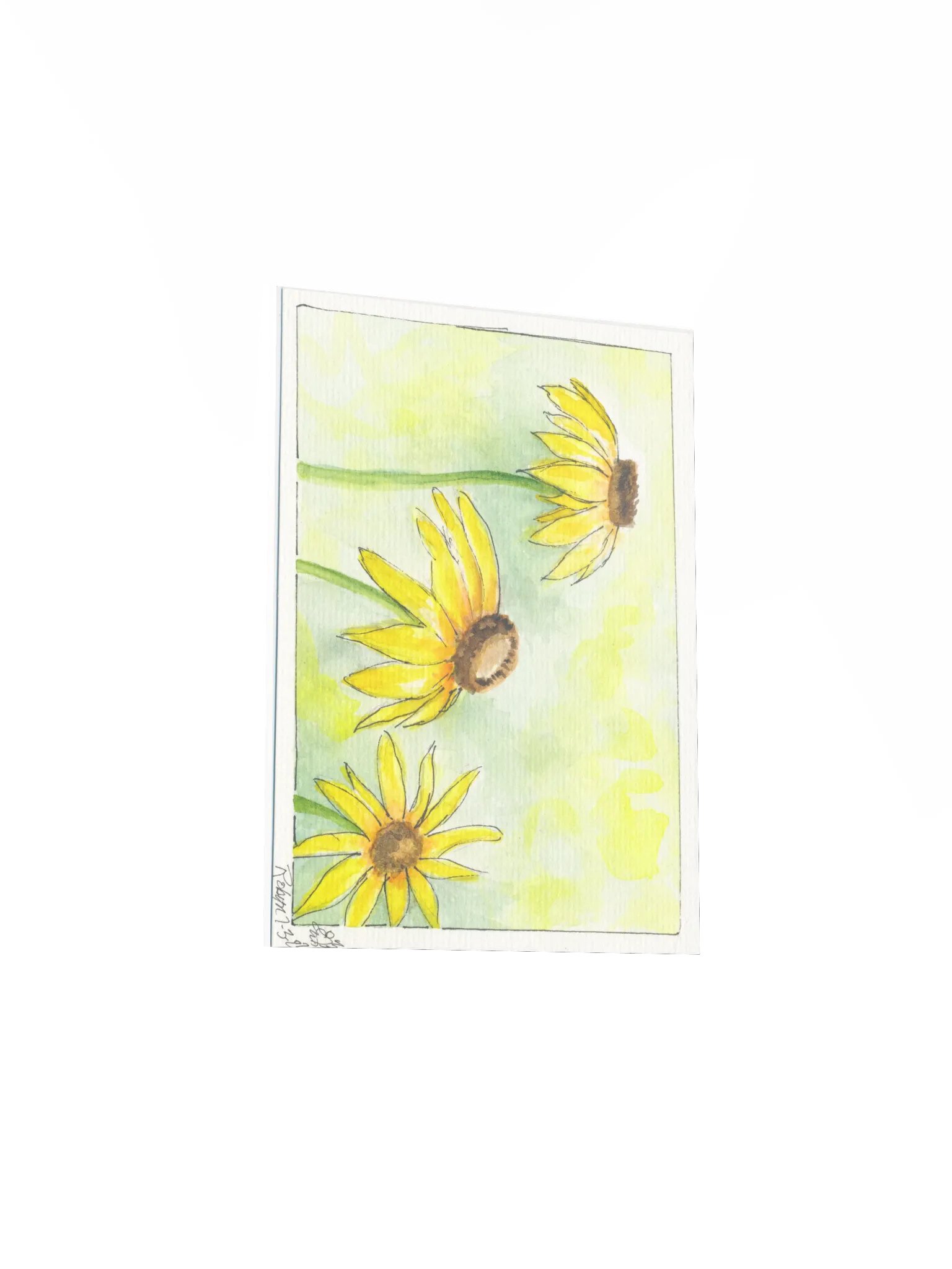 Yellow Cornflowers Print product image (3)