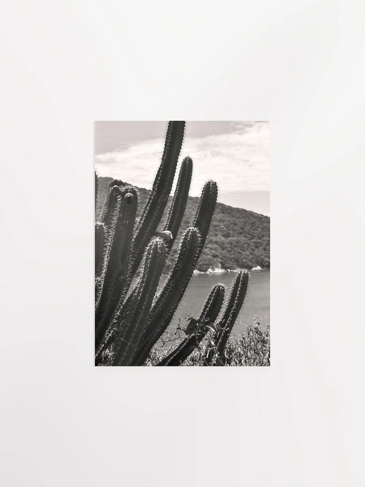 Mexico Lindo - Enhanced Matte Paper Poster product image (1)