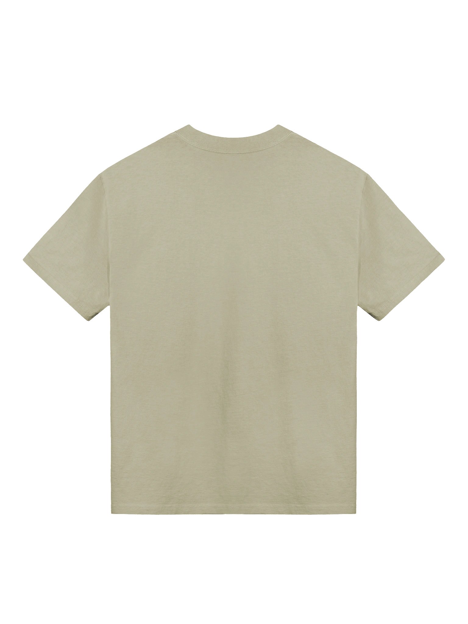 Verdant Venom: Poison Ivy Beware My Embrace Oversized Faded T-Shirt product image (4)