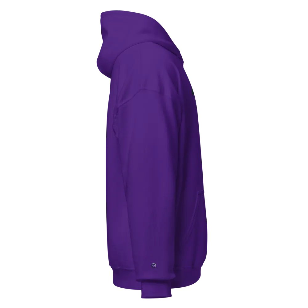 Oulaw of The Galaxy Hoodie product image (40)