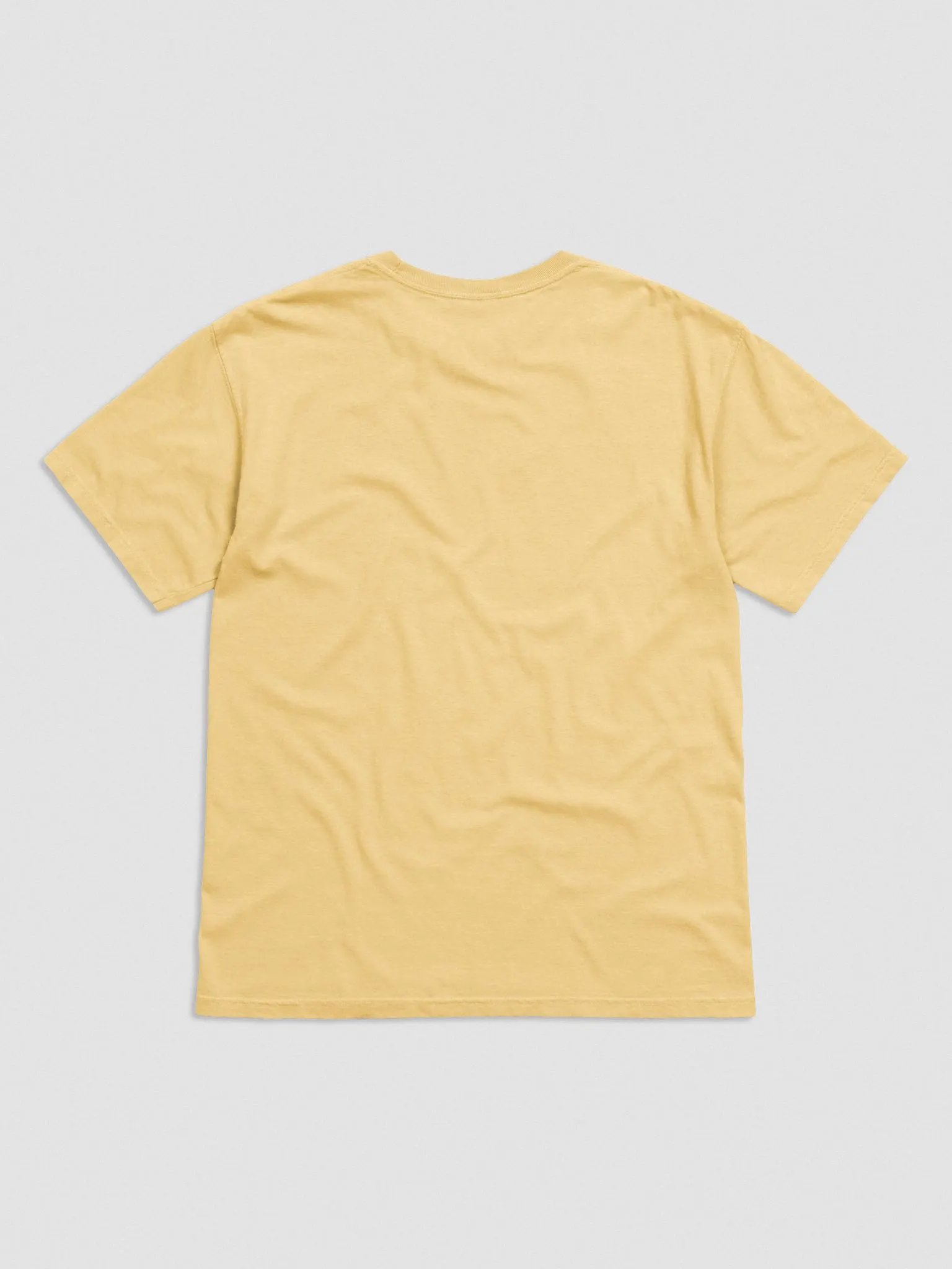 Bubbly and a B*tch embroidered garment-dyed tee product image (2)