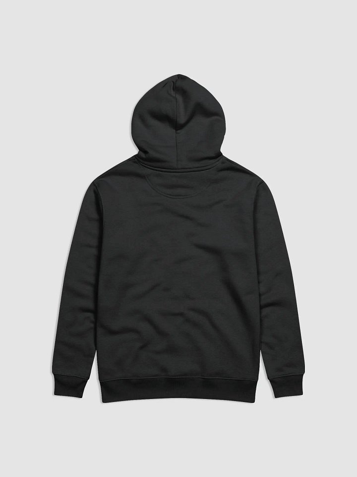 Holy Carp: Stanley/Stella Unisex Eco Hoodie product image (2)