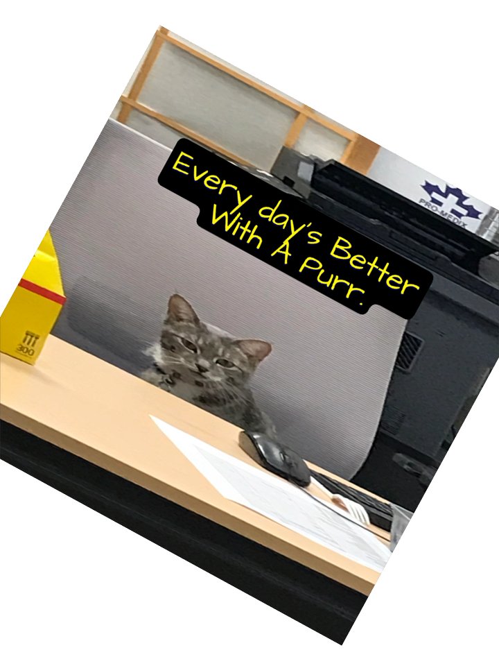 Purr-fect Desk Companion Stickers product image (4)