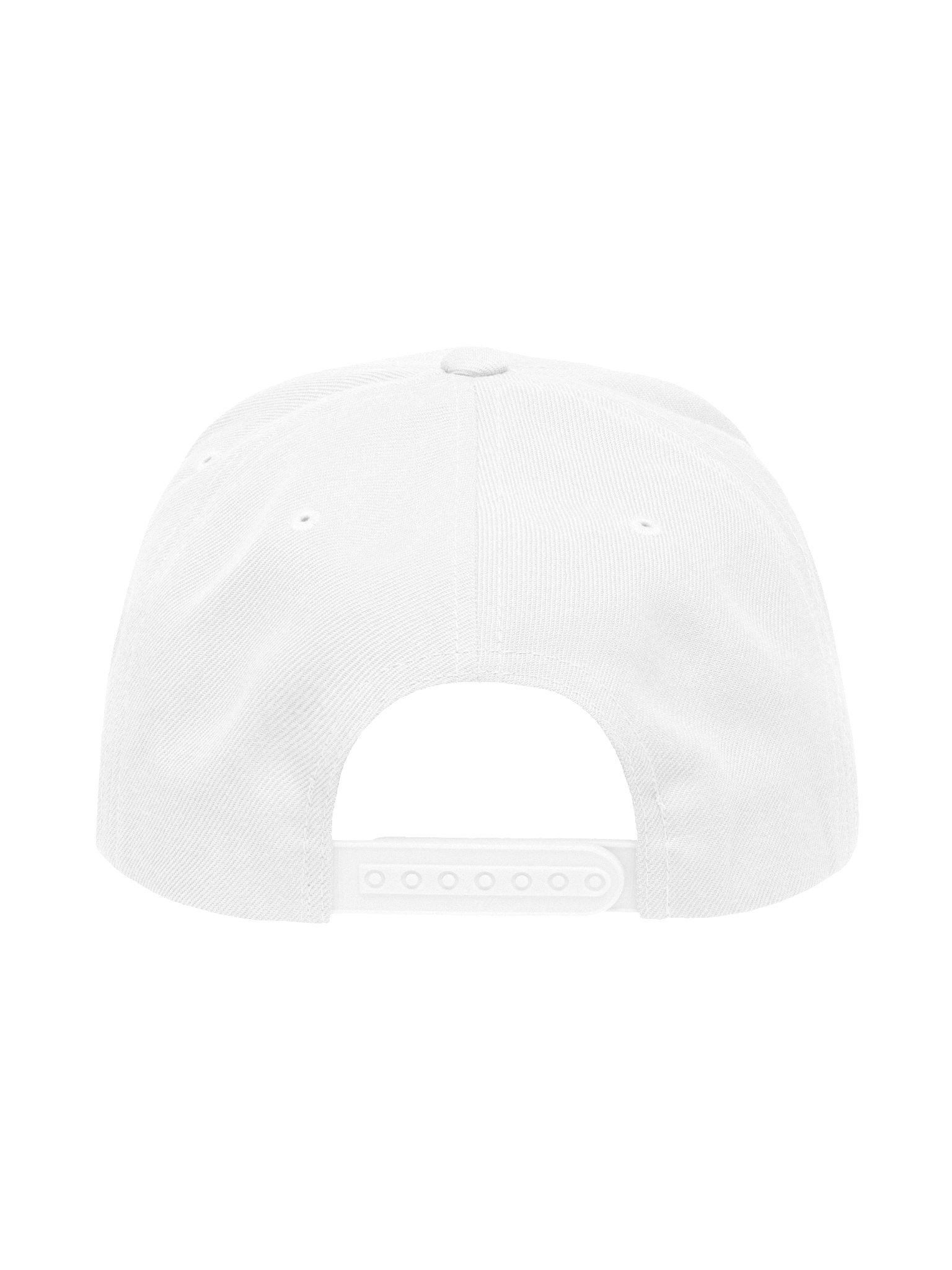 Lion Snapback product image (4)