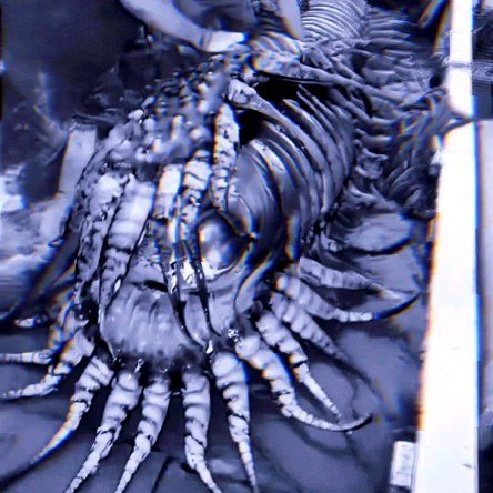 #dubstep #riddim #bassmusic #electronicmusic #techno #darkwave #cyberpunk