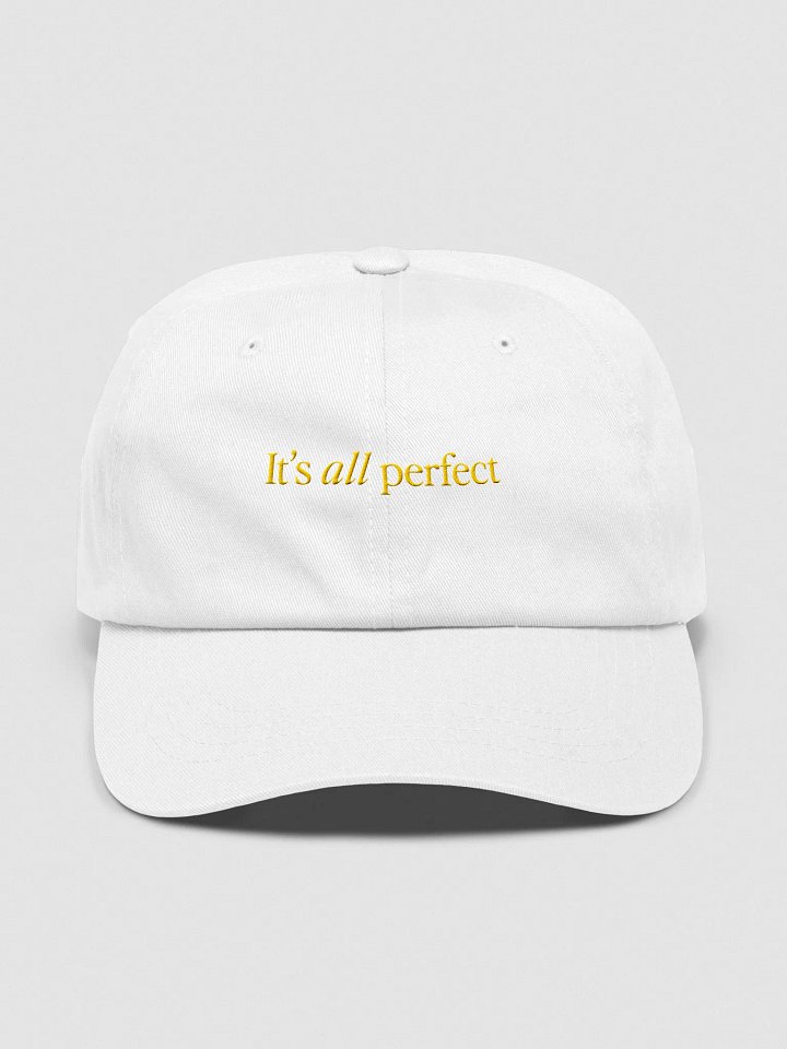 It's All Perfect Hat product image (2)
