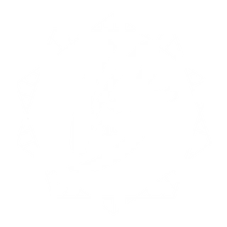 Bexxlynne