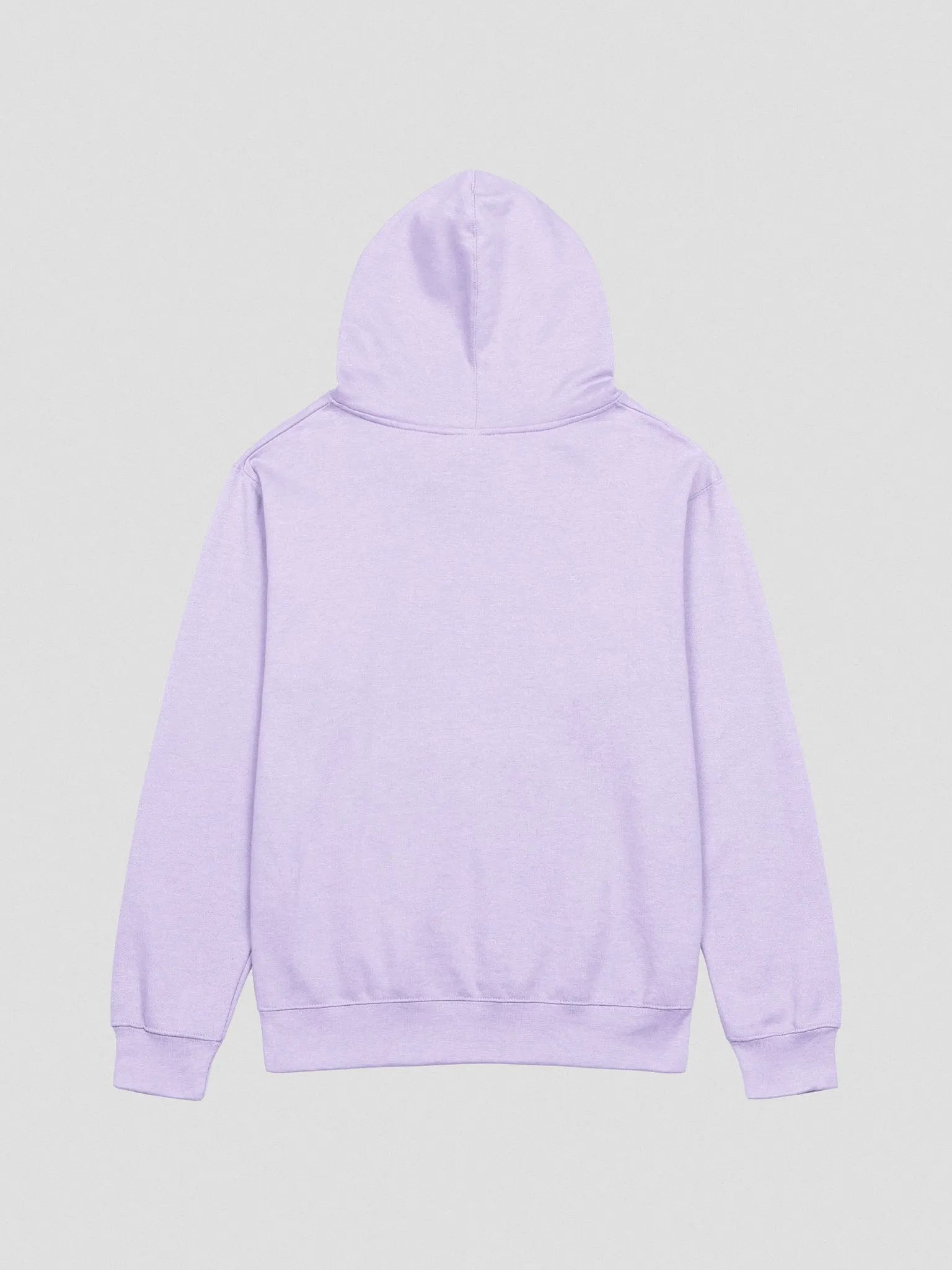 Pinipy Graphic Hoodie V1 (Colour Options) product image (16)
