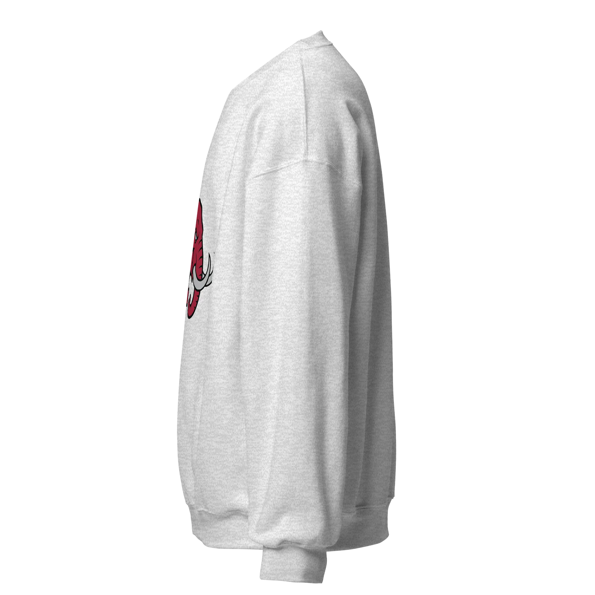 Red Elephant Letter A Graphic Sweatshirt product image (52)