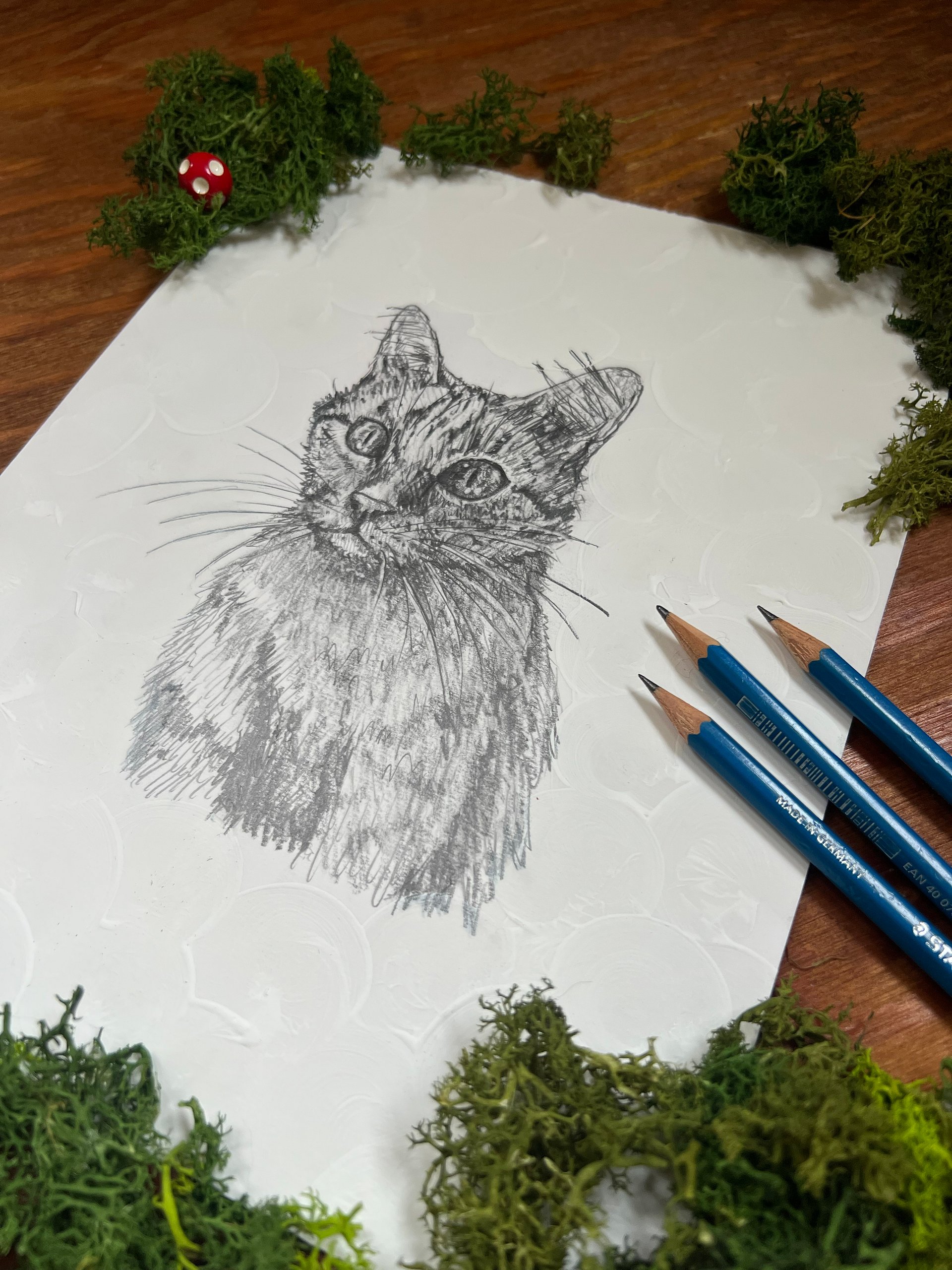 Pet Portrait (Single) product image (3)